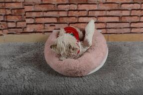 Cookie Pet Sherpa Polar Yıkanabilir Yuvarlak Köpek Kedi Yatağı 50 cm Açık Pudra - 3